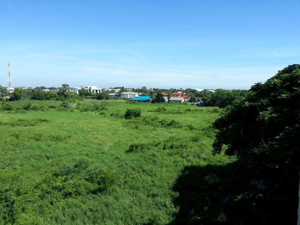View from one of my classes.